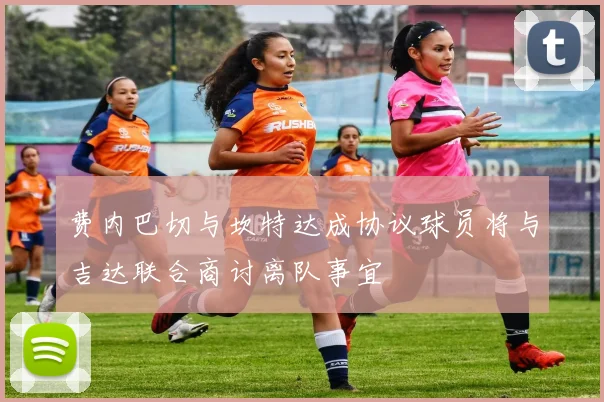费内巴切与坎特达成协议球员将与吉达联合商讨离队事宜