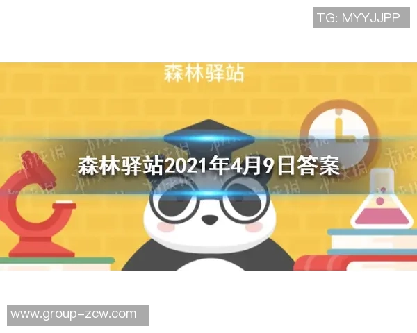李镇全总结熊猫杯团结奋进的团队精神引领我们走向更辉煌的未来 李镇全总结熊猫杯团结奋进的团队精神引领我们走向更辉煌的未来